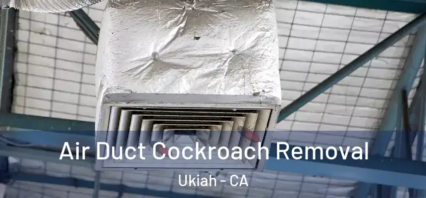 Air Duct Cockroach Removal Ukiah - CA