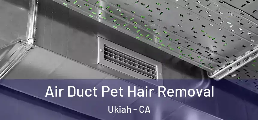  Air Duct Pet Hair Removal Ukiah - CA