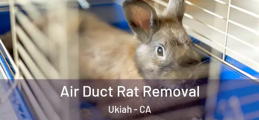 Air Duct Rat Removal Ukiah - CA