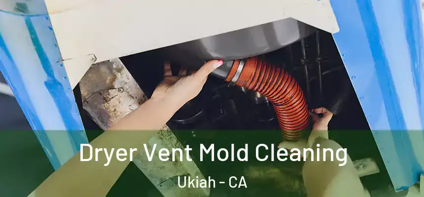Dryer Vent Mold Cleaning Ukiah - CA