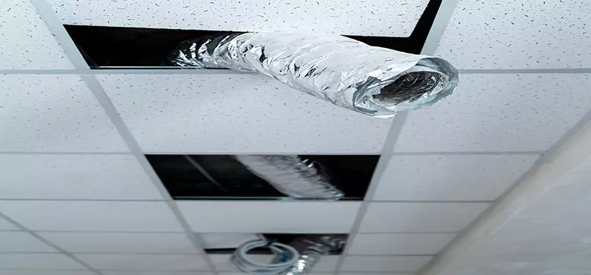 Our Air Duct Pet Hair Removal Services in Ukiah, CA