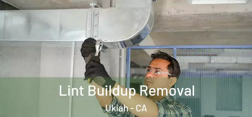 Lint Buildup Removal Ukiah - CA