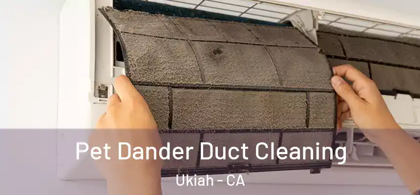 Pet Dander Duct Cleaning Ukiah - CA