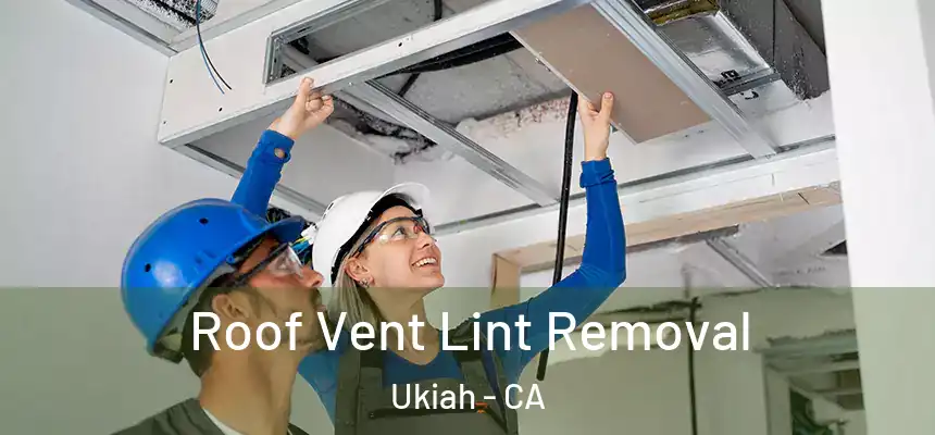 Roof Vent Lint Removal Ukiah - CA