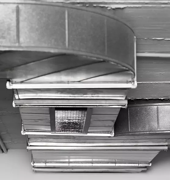 Professional Air Duct Pest Removal in Ukiah, CA