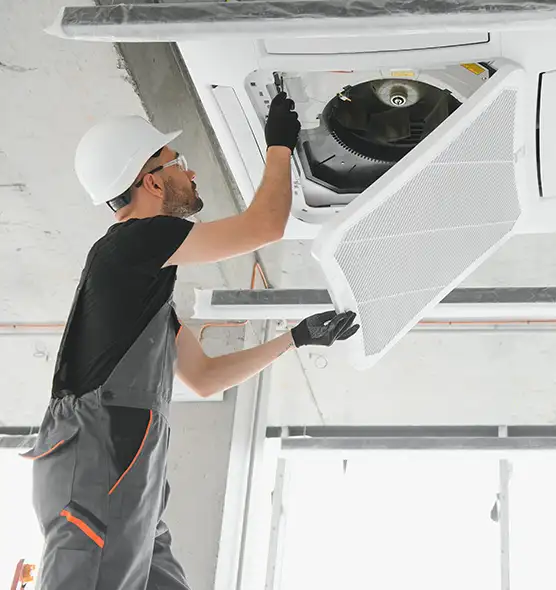 About Air Duct Rodent Removal in Ukiah, CA