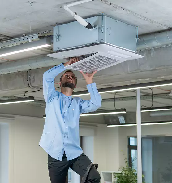 Advanced Rodent Droppings In Vents in Ukiah, CA