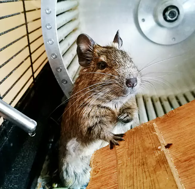 Why Homeowners & Businesses Trust Us Ukiah, CA