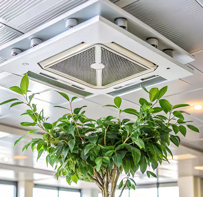 Why Homeowners & Businesses Trust Us in Ukiah, CA